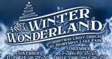 Winter Wonderland Information Icon